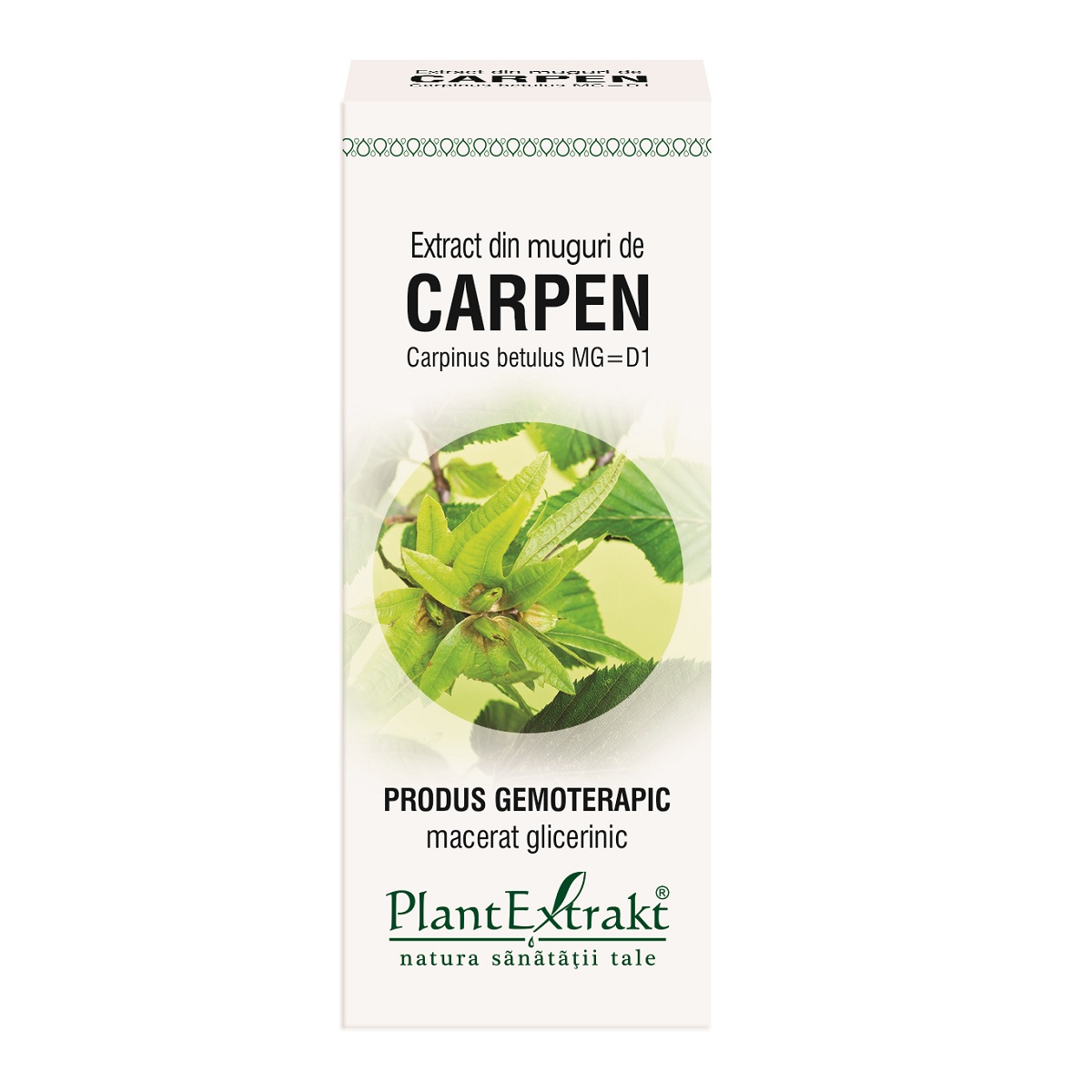 Extract din muguri de Carpen, 50ml, PlantExtrakt