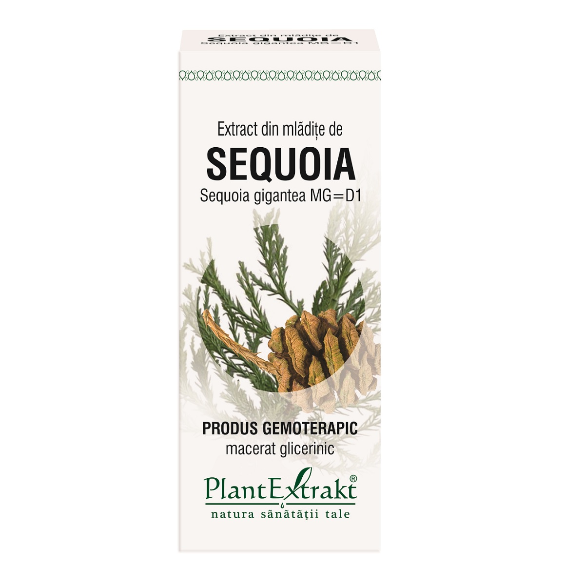 Extract din mladite de sequoia, 50ml, PlantExtrakt