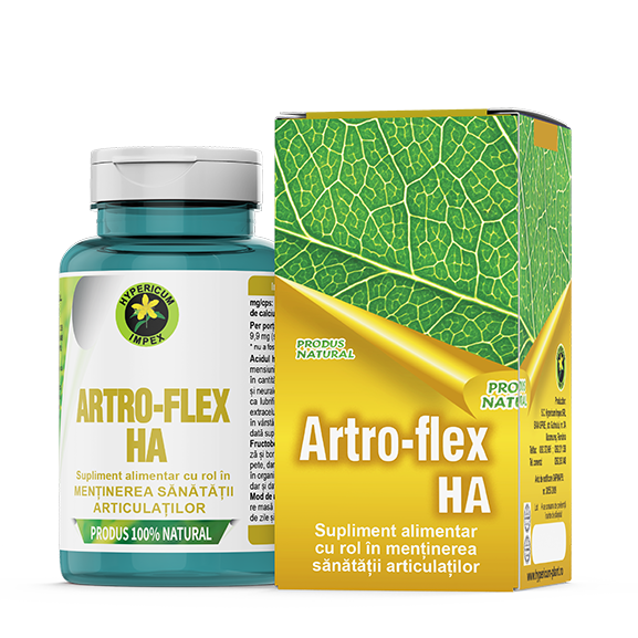 Artro Flex HA, 60 capsule, Hypericum