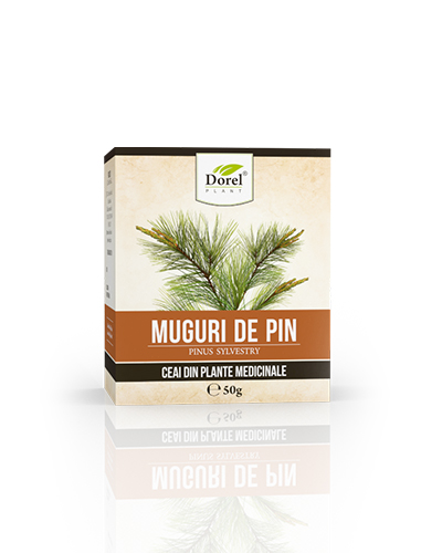 Ceai de Muguri de pin, 50g, Dorel Plant