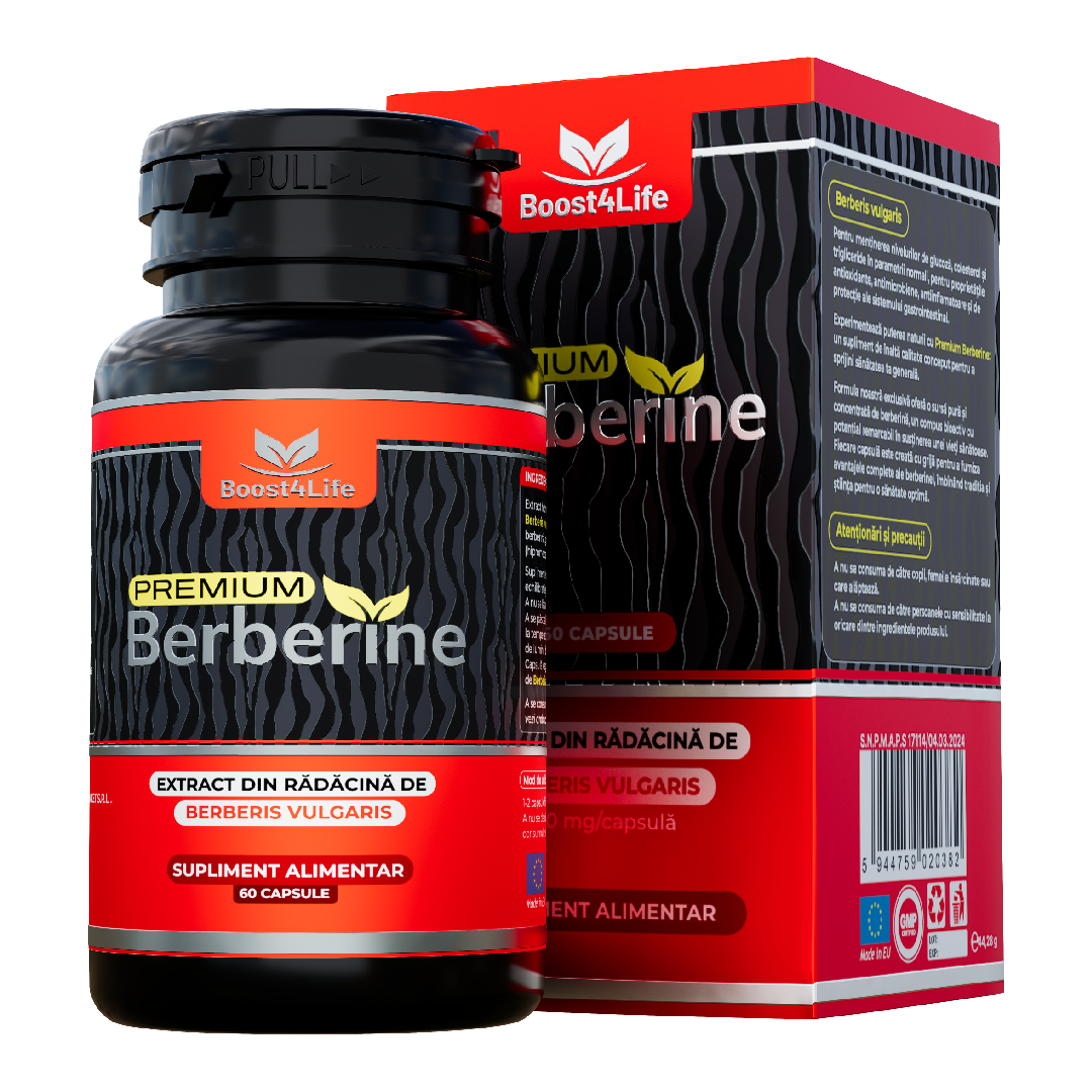 Berberine Premium 600mg, 60 capsule, Boost4Life