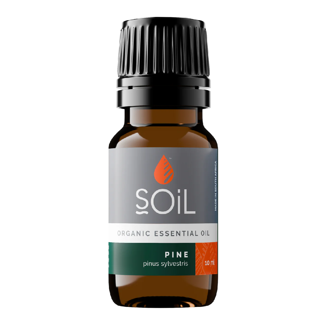 Ulei esential de Pin, 10ml, SOiL